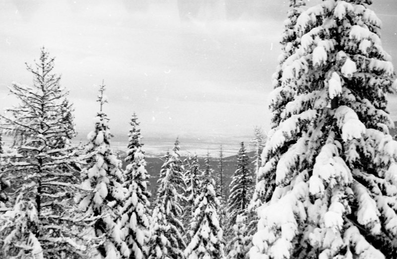 1981 Oregon, Blue Mountains 02