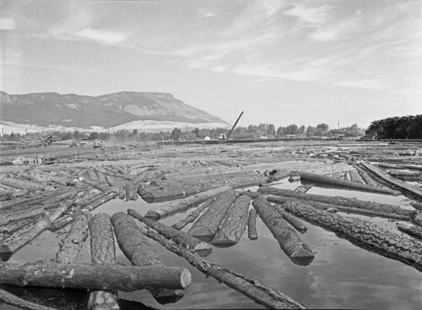 La Grande, Mt. Emily Sawmill 7