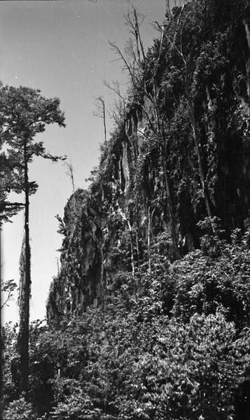 Biak Coral Cliffs 3