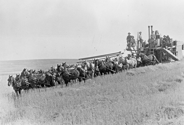 Farm, Horse Power Combine