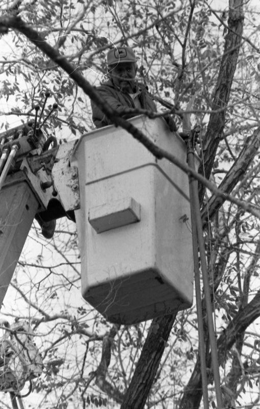 1988 Employee, Tree Trimming 01
