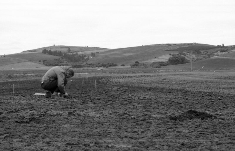 1980 Agriculture Study 09