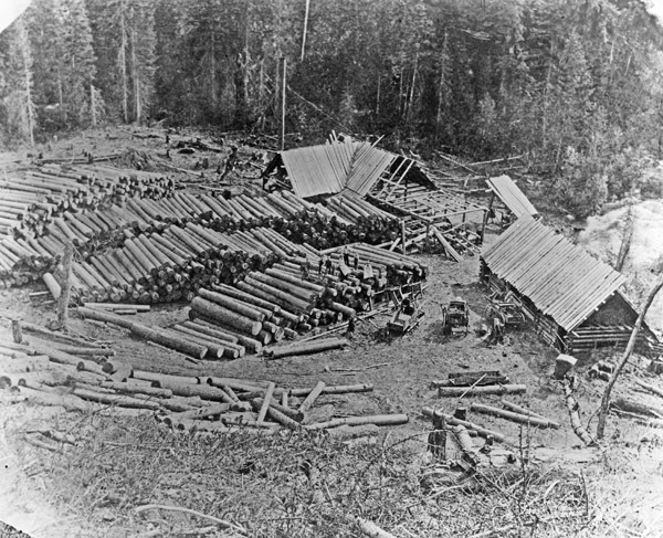 Western Oregon, Mill