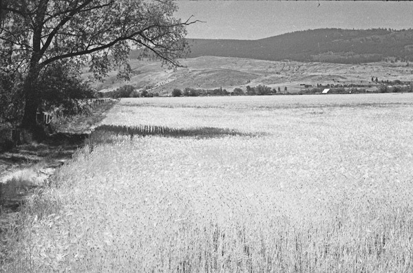 La Grande, Field 3