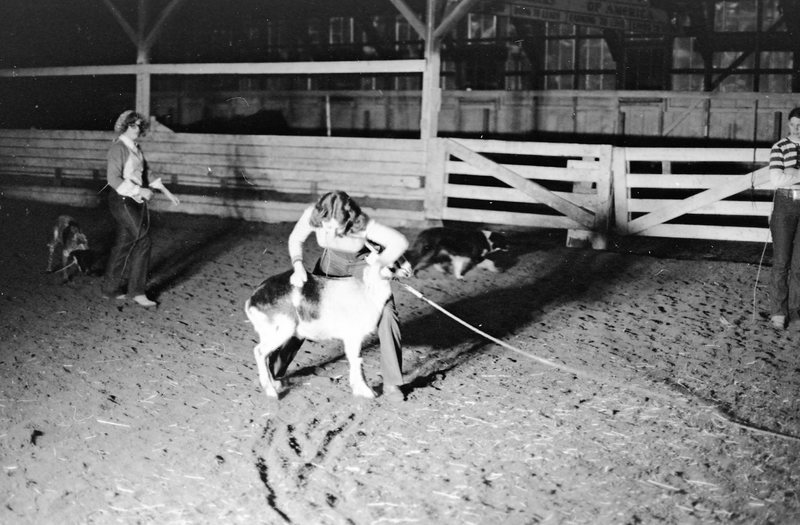 1976 Rodeo, Goats