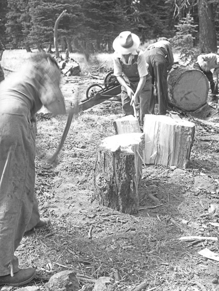 Elgin, American Legion Wood 1
