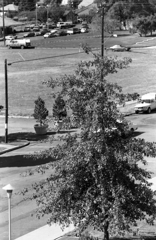 1984 Campus 07