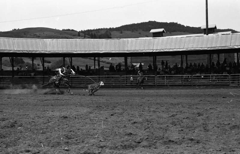 1981 Rodeo, Calf Roping 04