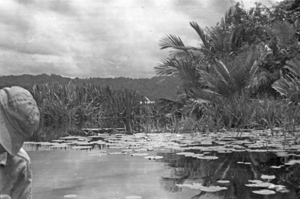 Big Emby Lake 2