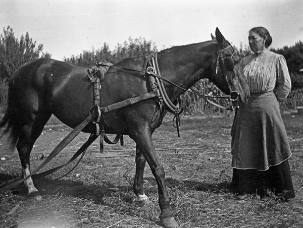 Union County, Woman &amp; Horse 2
