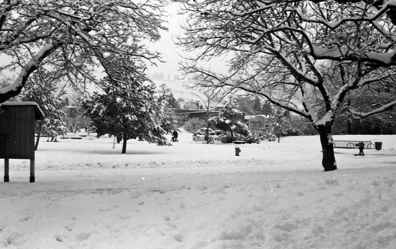 1983 Campus in Winter 01