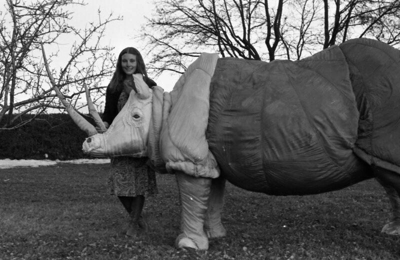 1977 Sculpture, Rhino 02