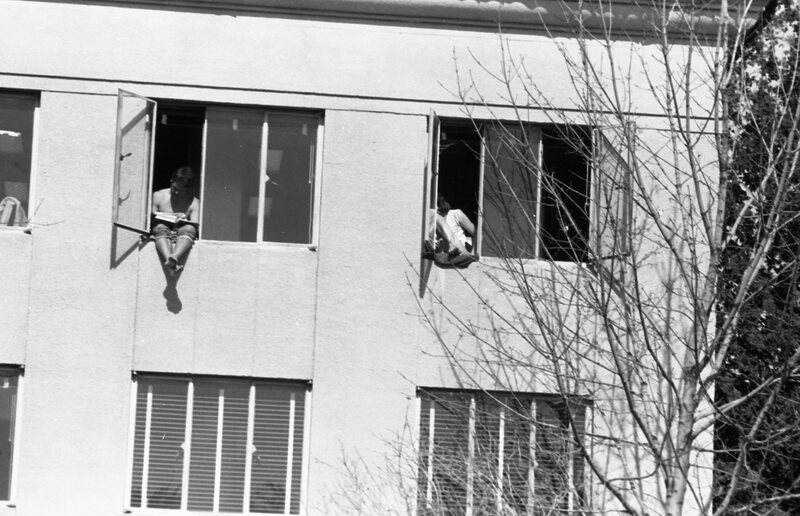 1985 Residence Life, Windows 03