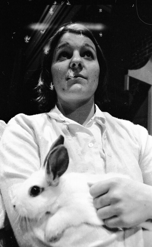 1974 Theatre, Rabbit 06