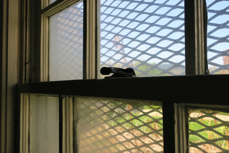 Dorian and Hunt Hall 393