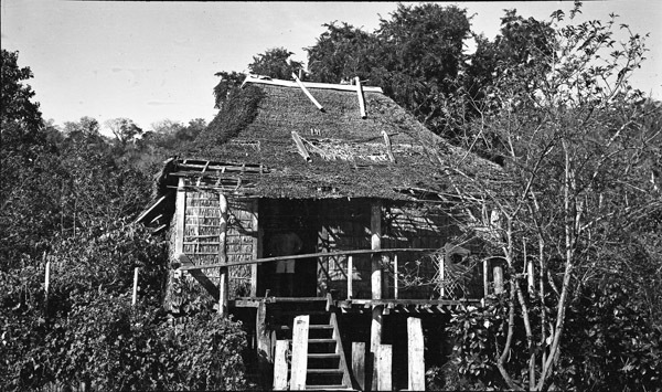 Leyte Local Houses 2
