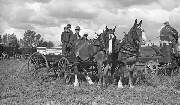 Union Stock Show, 1941 10