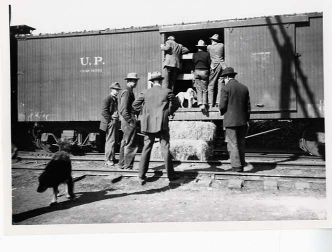 1912 Baker, Elk Cargo