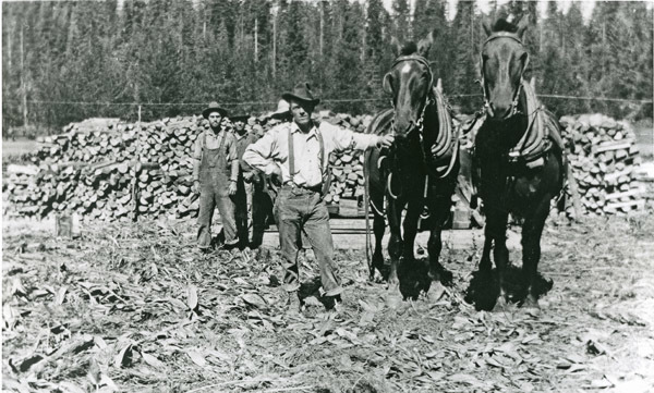 Maxville, Logging 2
