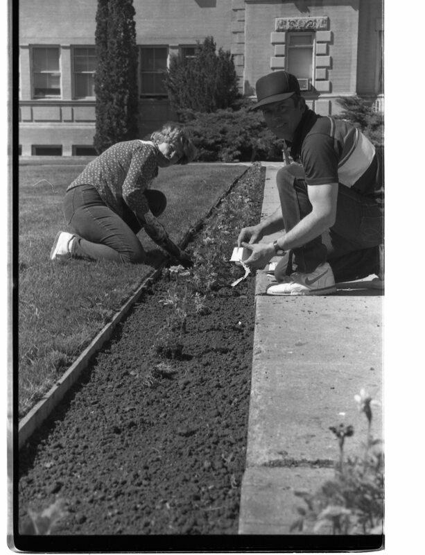 1989 Employees, Planting 19