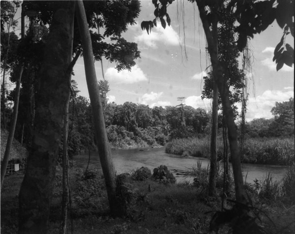 Dobodura Hut Sleeping Quarters 5