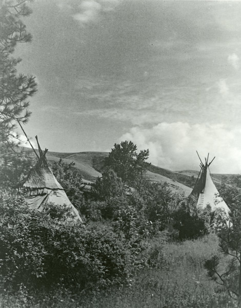 Native American Camp