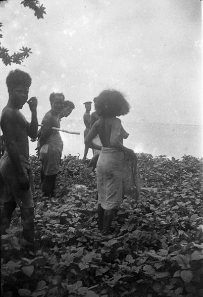 Dobodura Natives 2