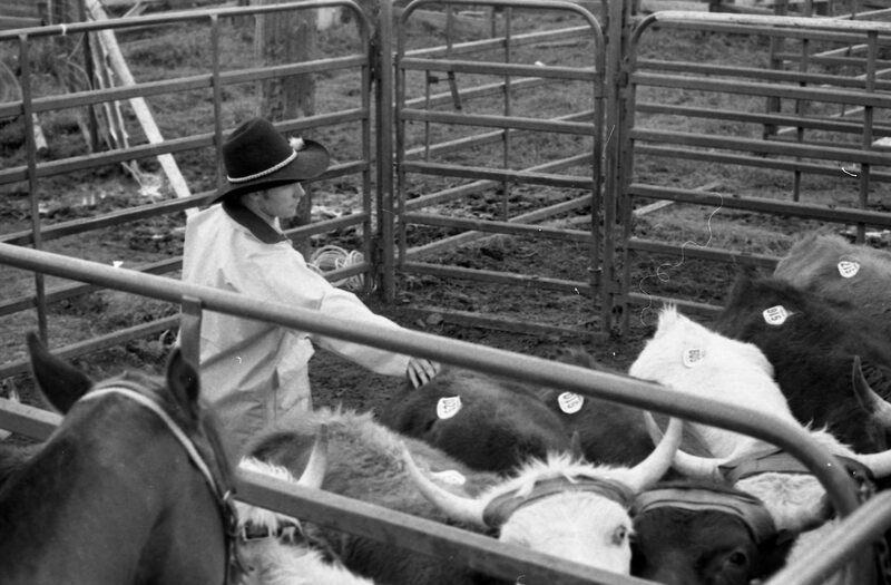 1984 Rodeo Club, Cowboys 04