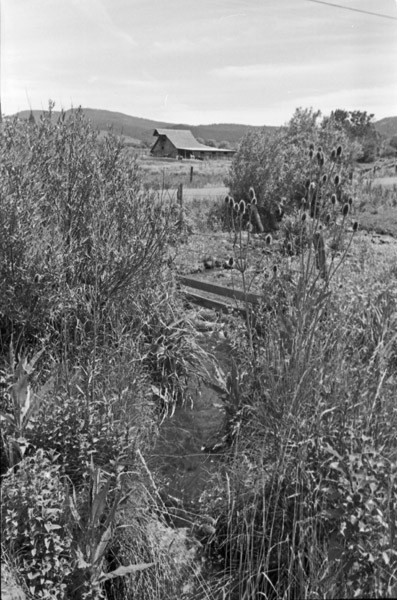 Cove, Homestead