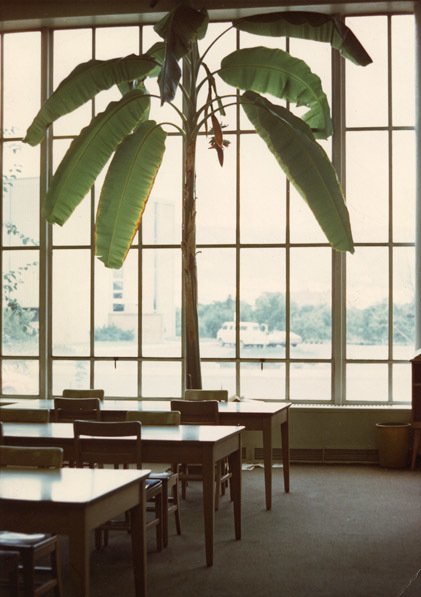 1975 Walter M. Pierce Library, Interior 01