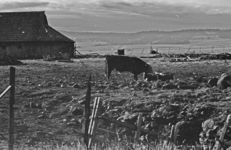 1985 Agriculture, Ranch 10