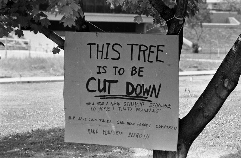 1974 Campus, Save a Tree 04