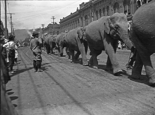 La Grande Parade, Circus 3