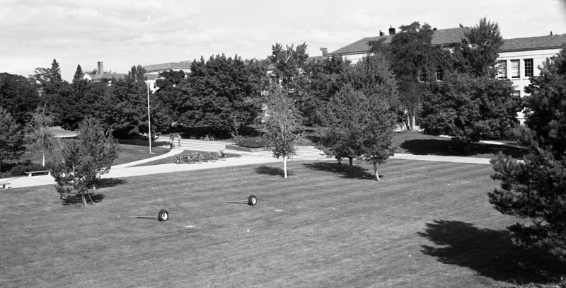 1984 Campus 11