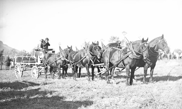 Union Stock Show, 1941 7