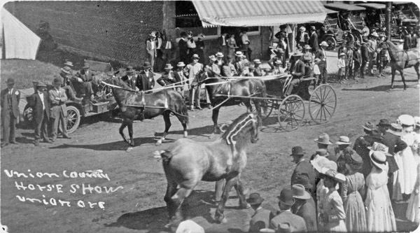 Union County Horse Show 1