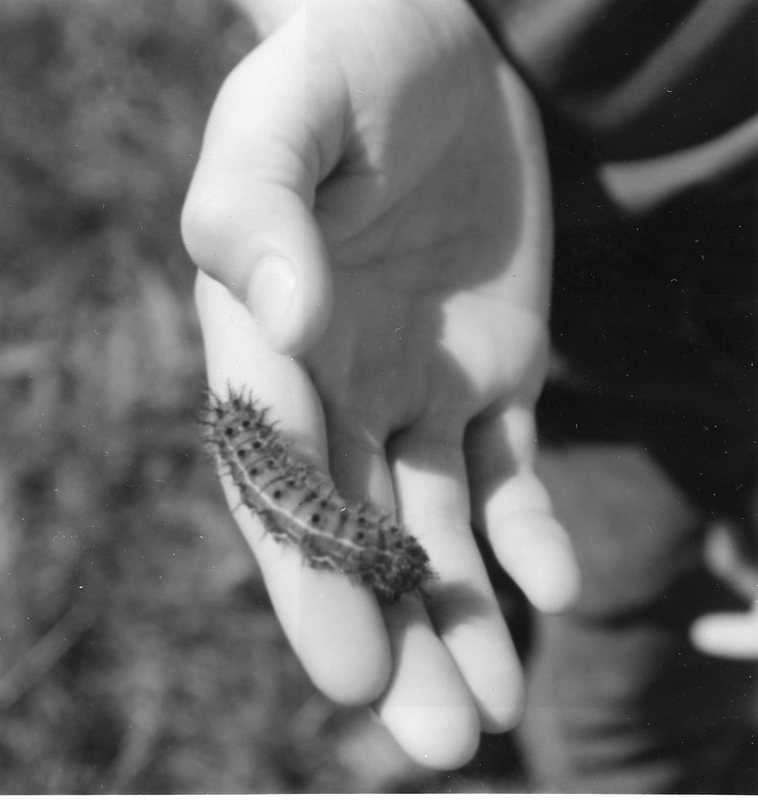 1988 Science Camp, Outdoors 6