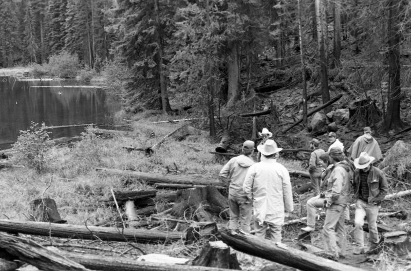 1987 Field Trip, Forest 23