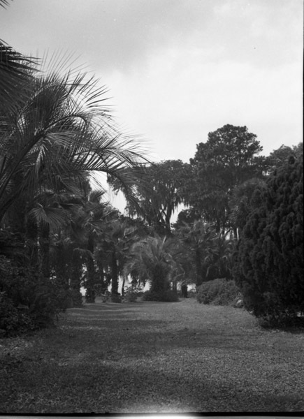 St. Augustine 19