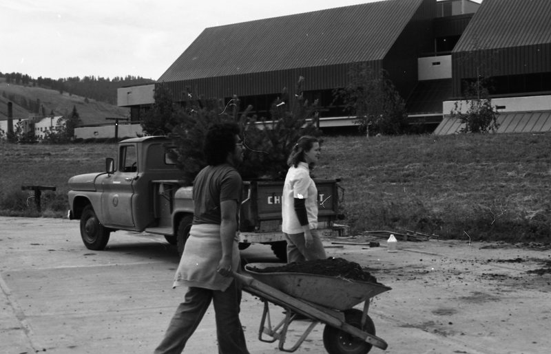 1981 Campus Tree Plantings 11