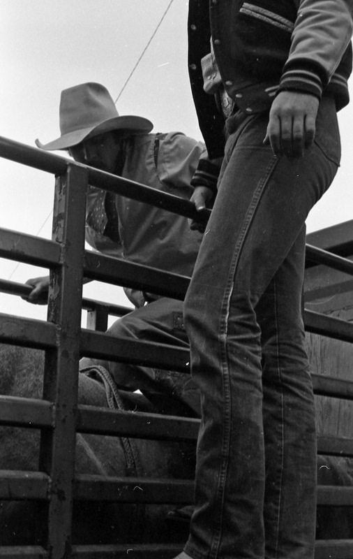 1981 Rodeo, Cowboys in Chute 02