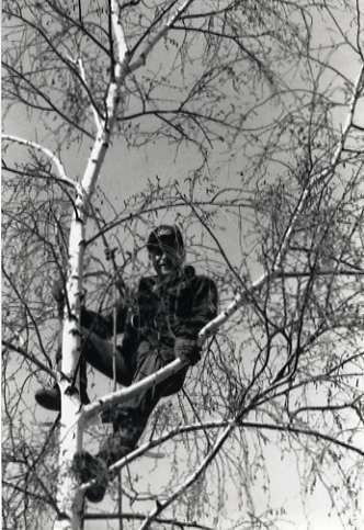1990 Employee, Tree Trimming 1-1