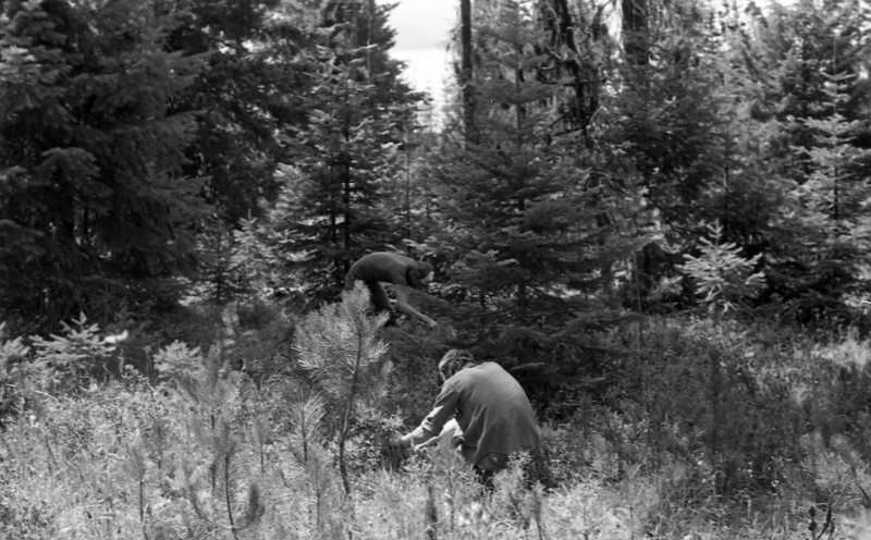 1982 Field Trip, Outdoors 03