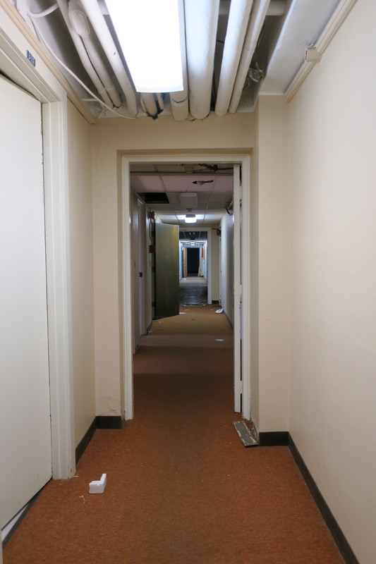 Dorian and Hunt Hall 373
