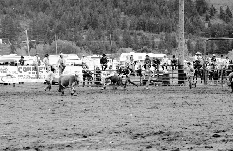 1983 Springfest, Rodeo, Cow Milking 03