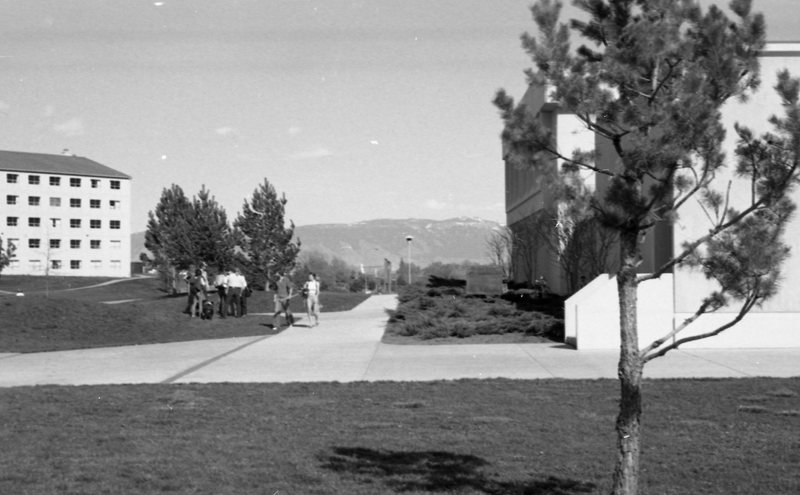 1981 Campus from Zabel Hall 02