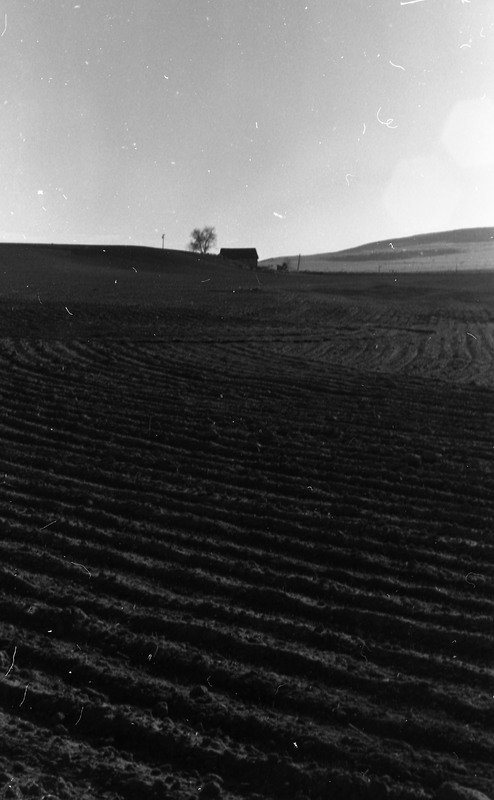 1980 Agriculture, Furrowed Field 03