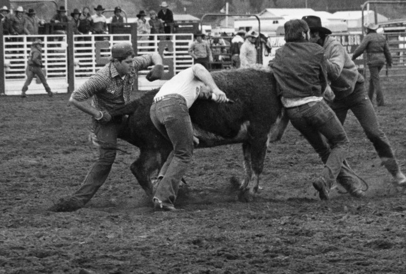 1982 EOSC Rodeo, Cow Milking 01