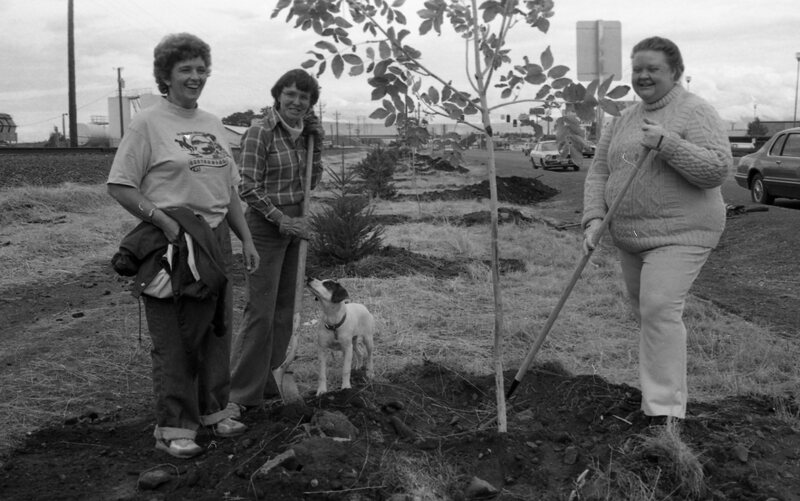 1985 Soroptimist Tree Plantings 06