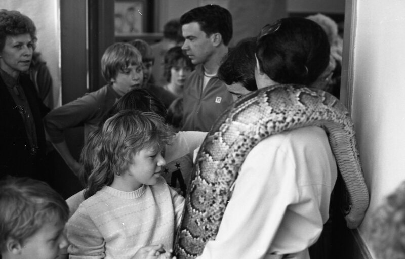 1985 Ackerman Elementary School, Safari 09